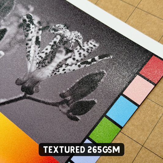 RC Textured Photo Paper (265gsm) – Single Sided - A4