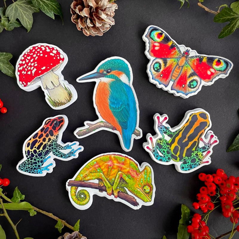 Printable Vinyl Sticker Paper | Glossy (A4)