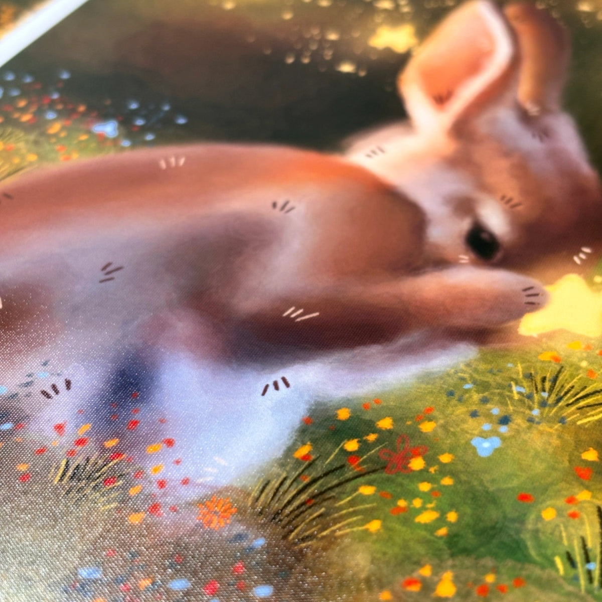 Professional Photographic Prints - Stickiply