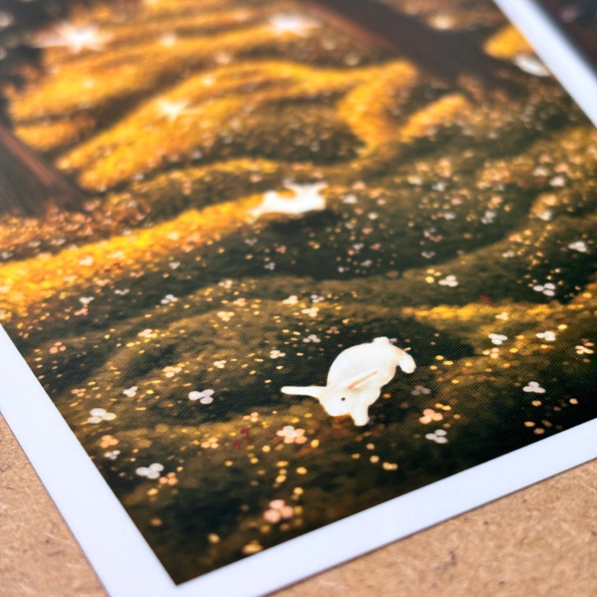 Professional Photographic Prints - Stickiply