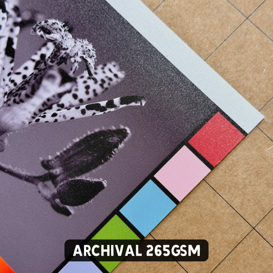 RC Archival Photo Paper (265gsm) – Single Sided - A4 - Stickiply