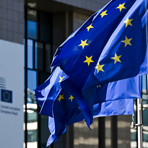New EU €3 Customs Duty: What 1st July 2026 Means for Your Orders