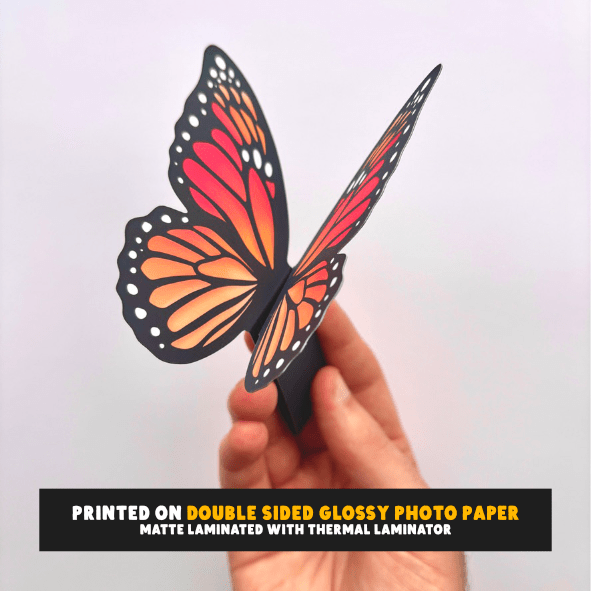 Glossy Photo Paper (180gsm) - Double Sided - Stickiply