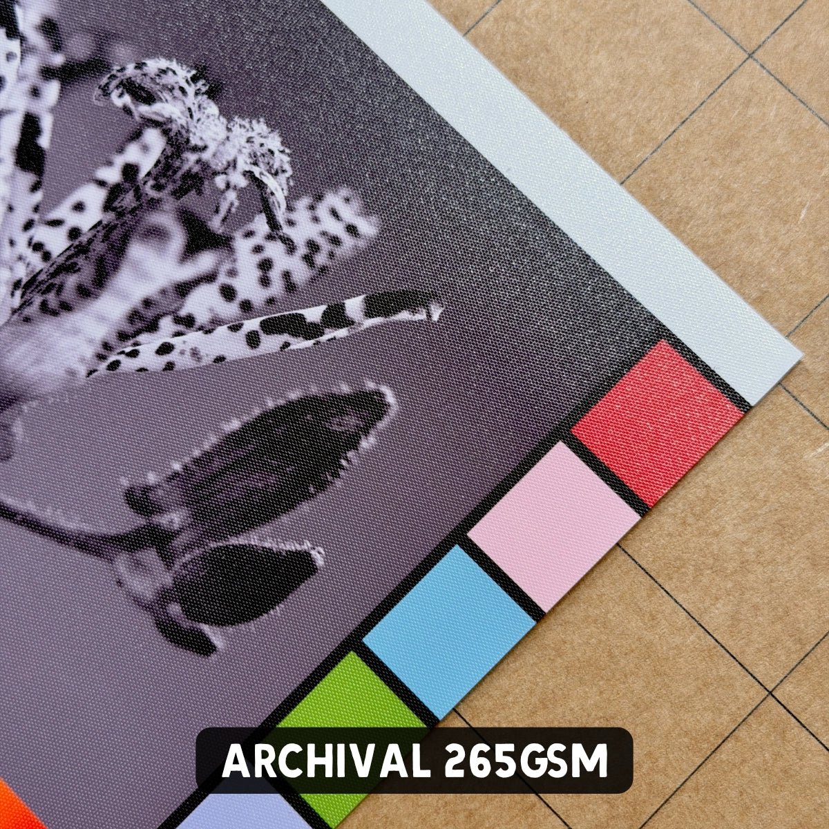 Glossy Photo Paper - Single Sided - A4 - Stickiply