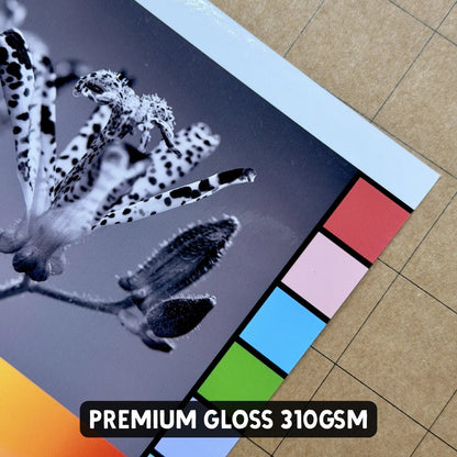Glossy Photo Paper - Single Sided - A4 - Stickiply