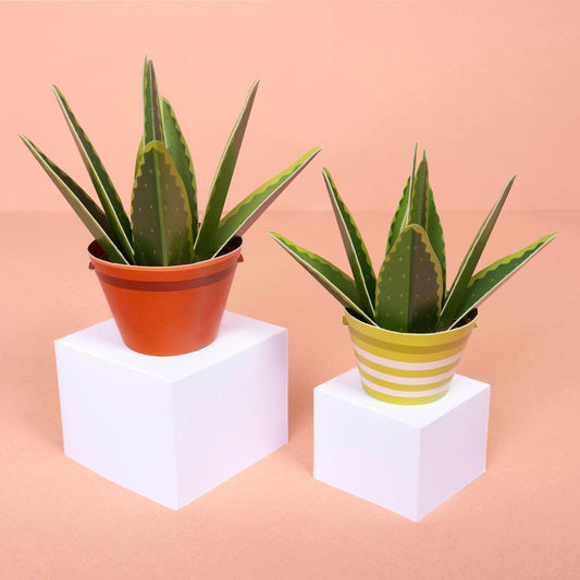 Make Your Own Healing Aloe Vera Paper Plant - Stickiply