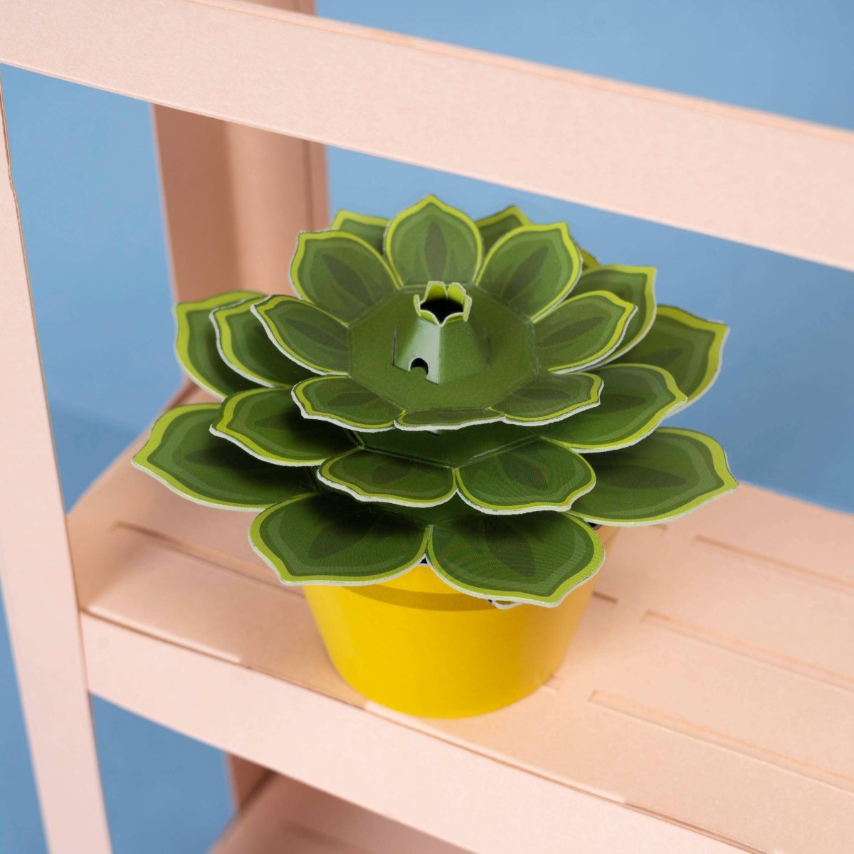 Make Your Own Soothing Succulent Paper Plant - Stickiply