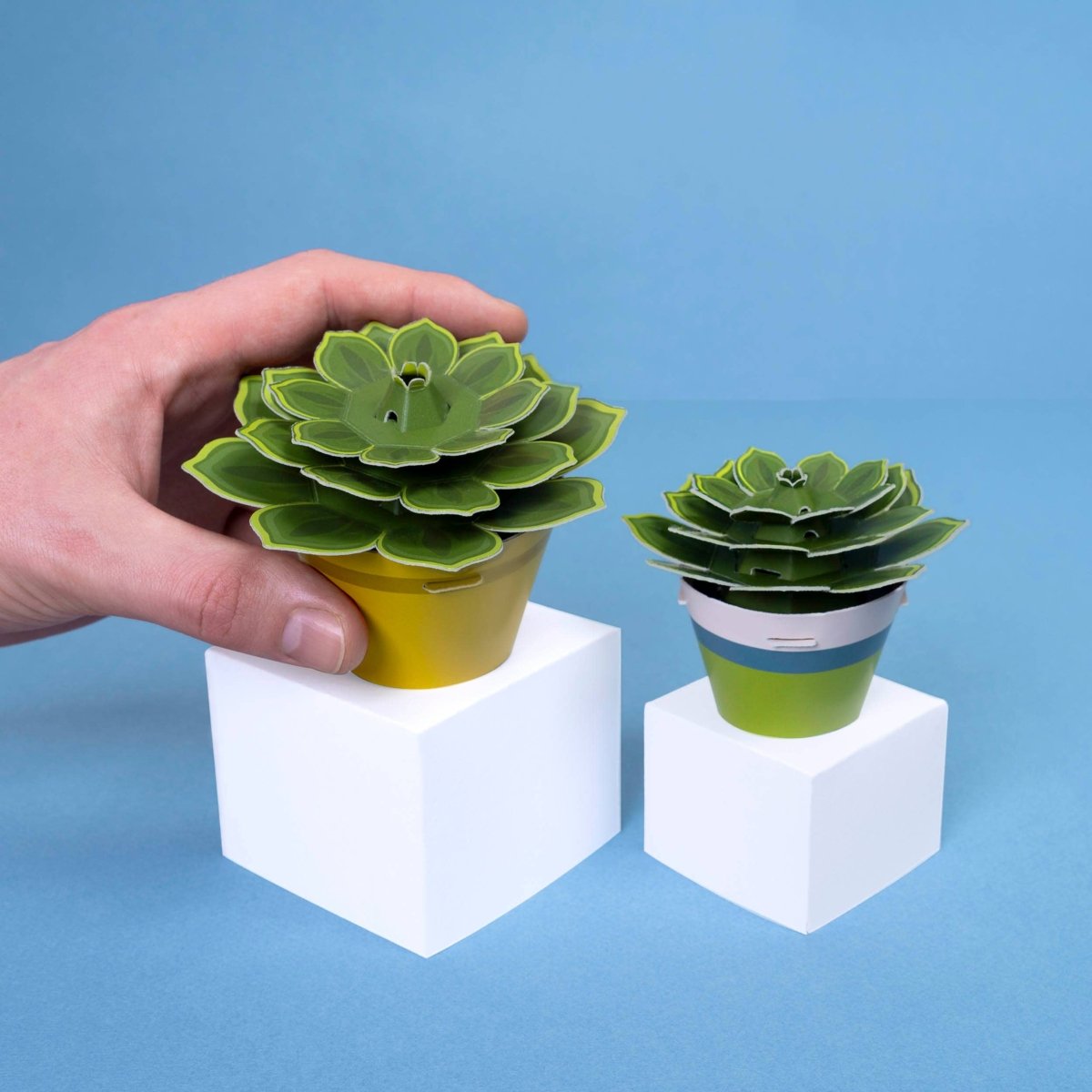 Make Your Own Soothing Succulent Paper Plant - Stickiply