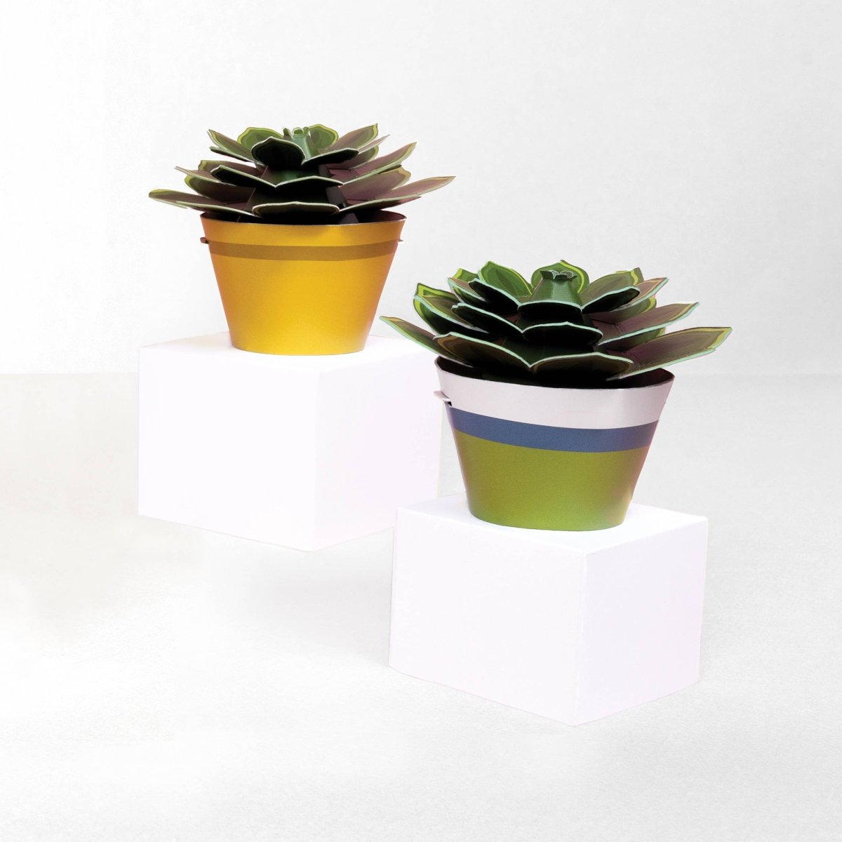 Make Your Own Soothing Succulent Paper Plant - Stickiply