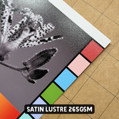 RC Satin Lustre Photo Paper (265gsm) – Single Sided - A4 - Stickiply